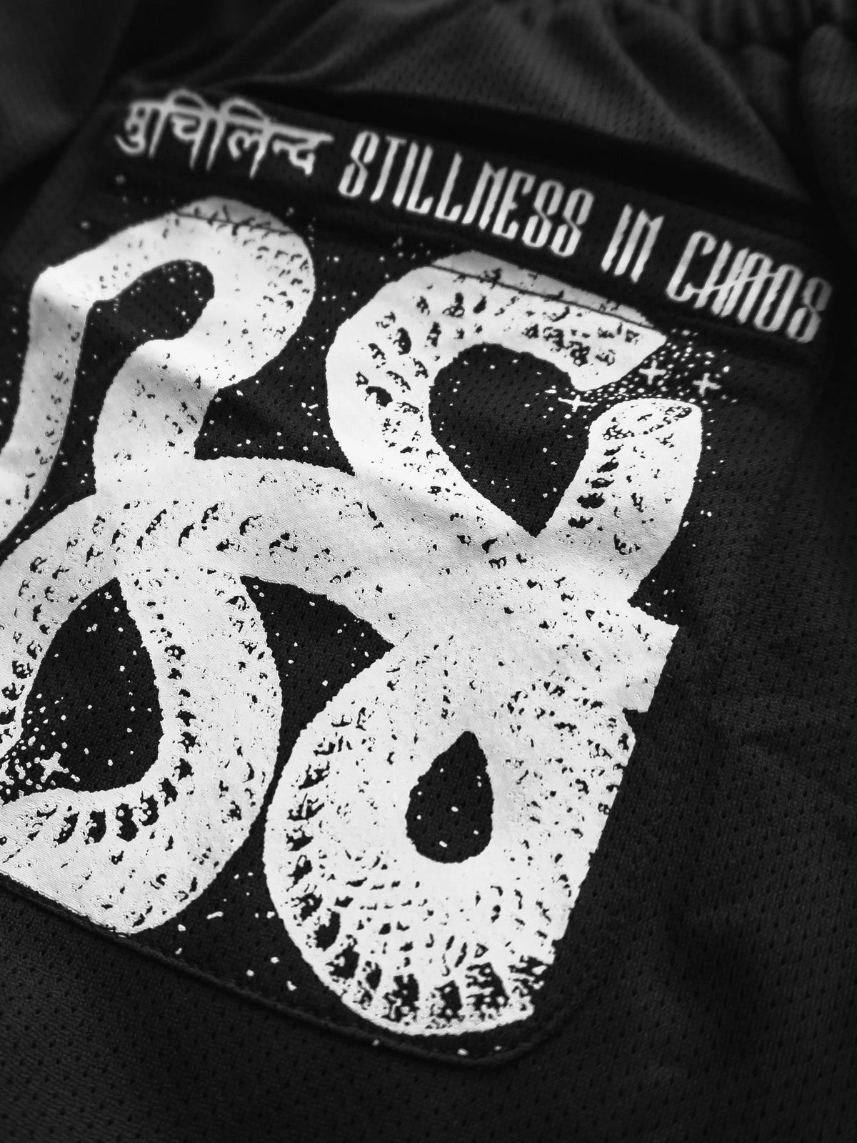 SERPENT INVOCATION ✦ Activewear Shorts ✦ Estimated Arrival 7/26 Shorts