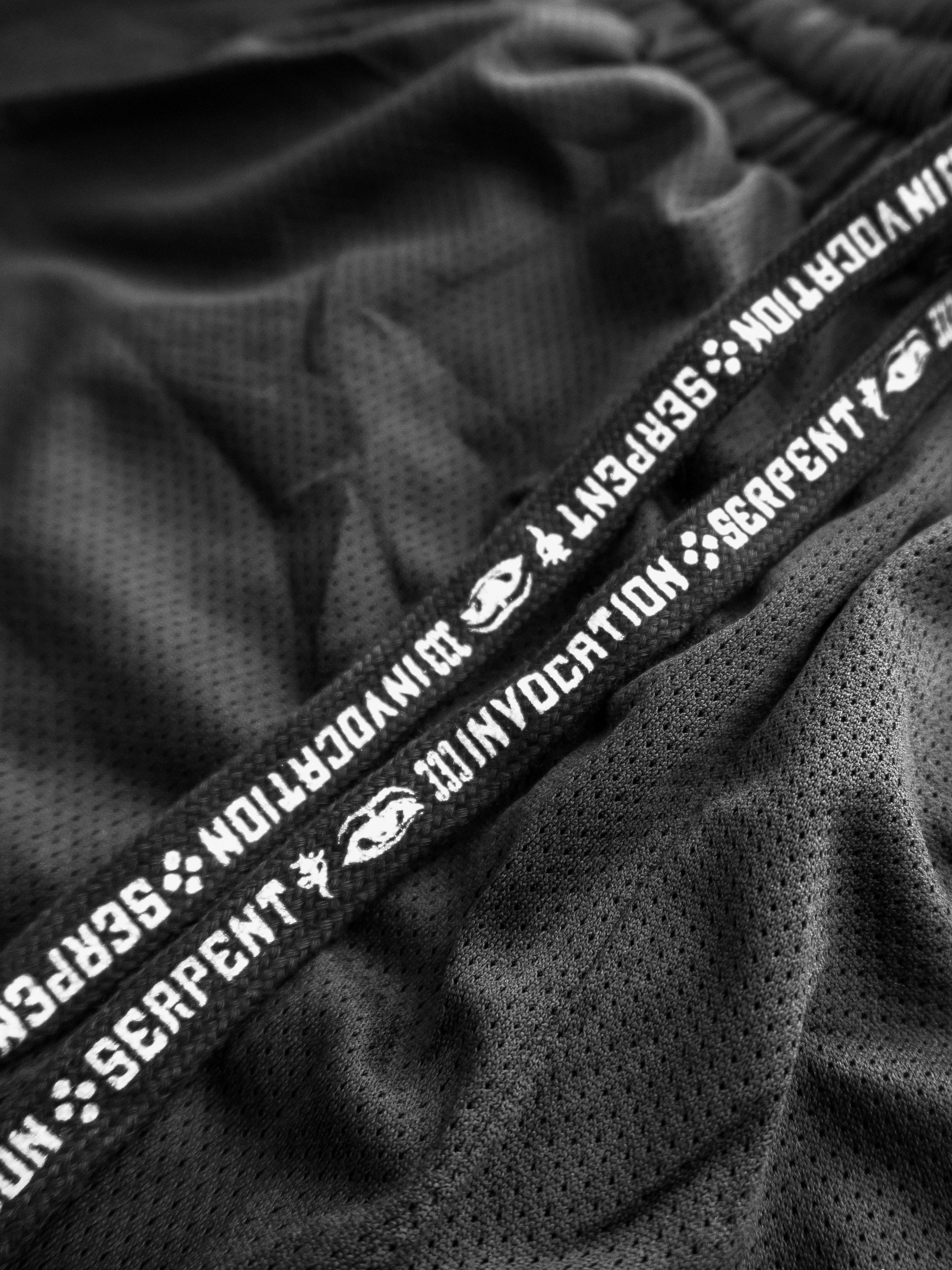 SERPENT INVOCATION ✦ Activewear Shorts ✦ Estimated Arrival 7/26 Shorts