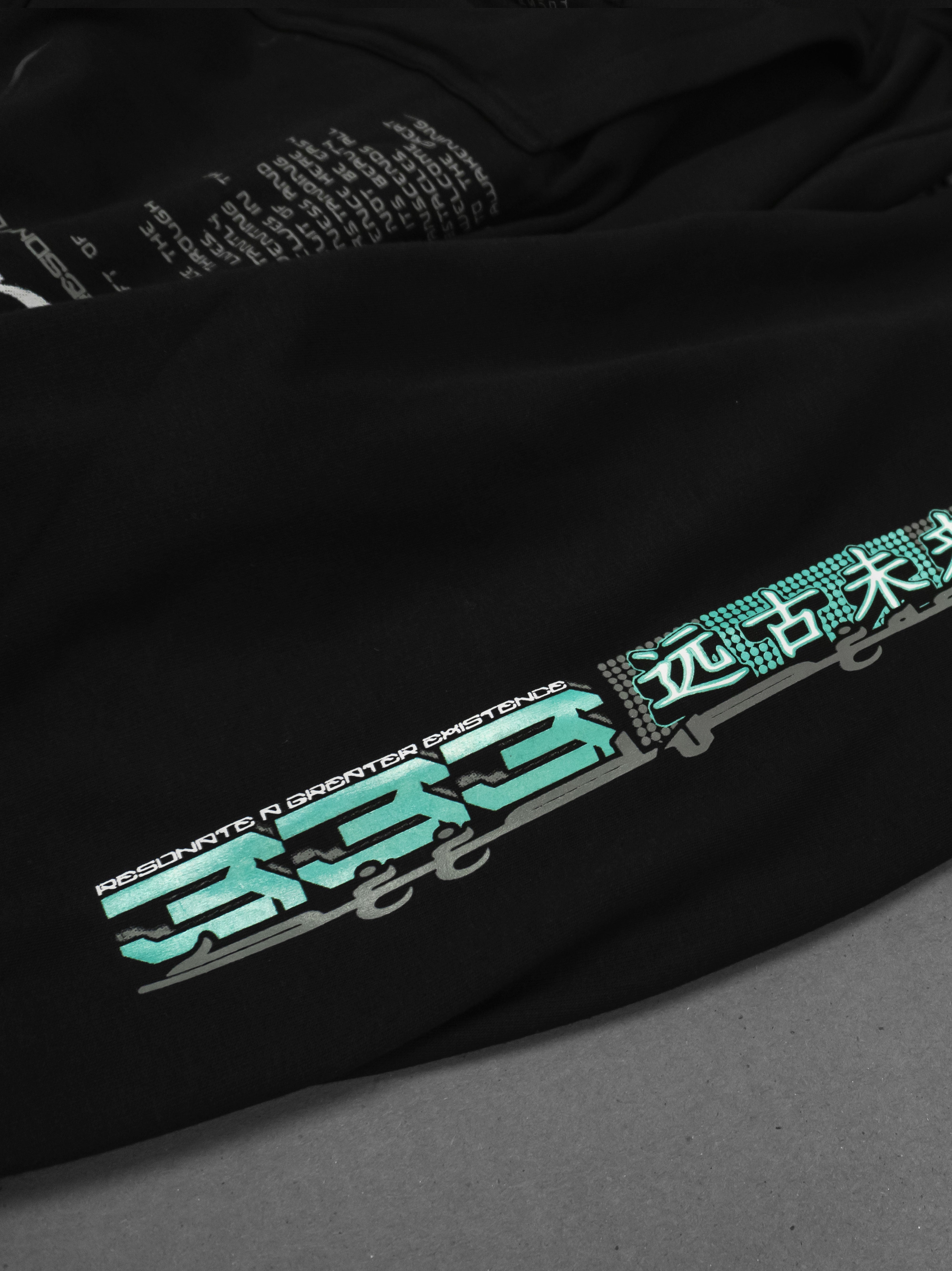 ANCIENT FUTURE ✦ 3 POCKET✦ Limited Edition Premium Hoodie Hoodie