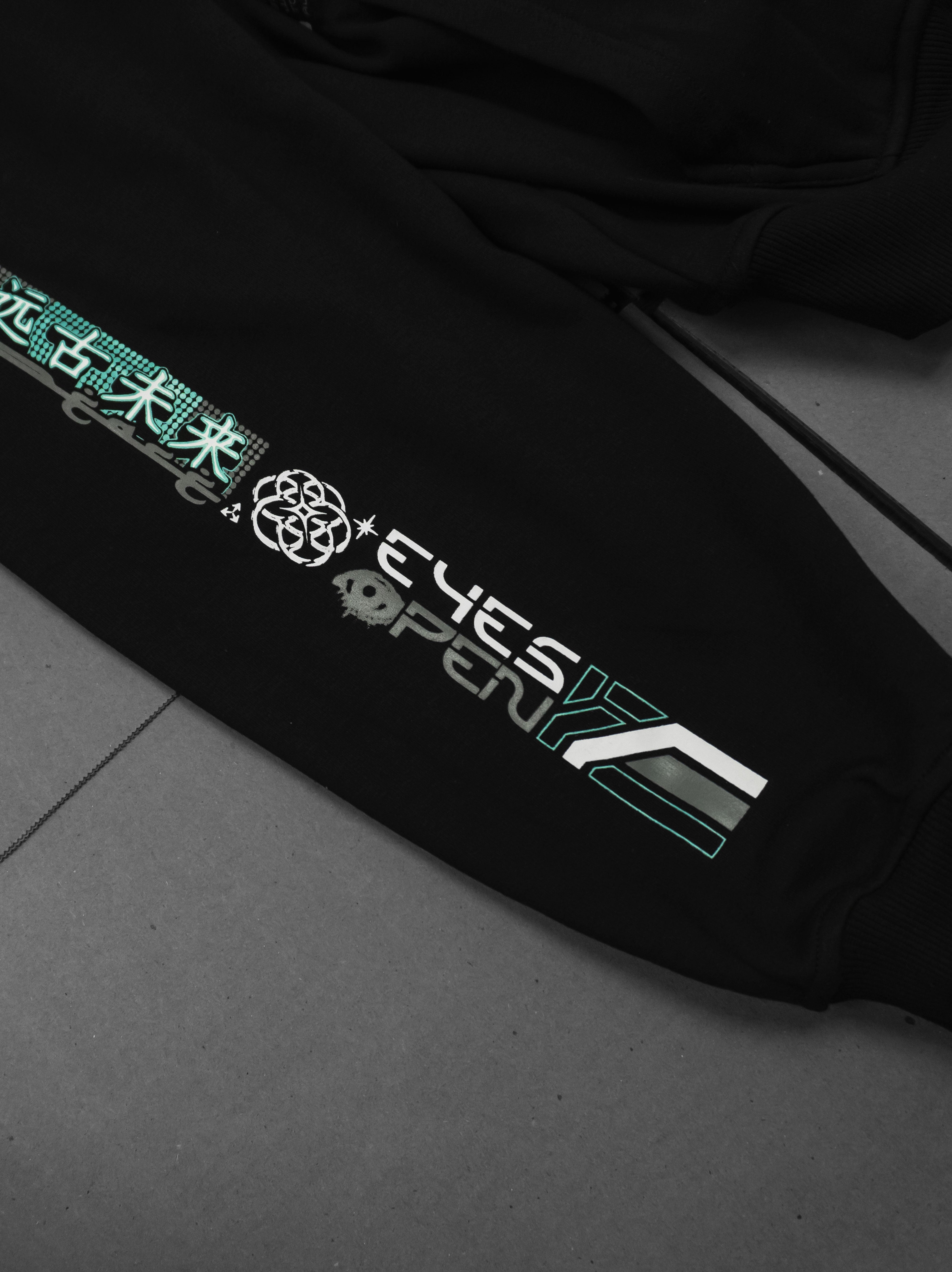 ANCIENT FUTURE ✦ 3 POCKET✦ Limited Edition Premium Hoodie Hoodie