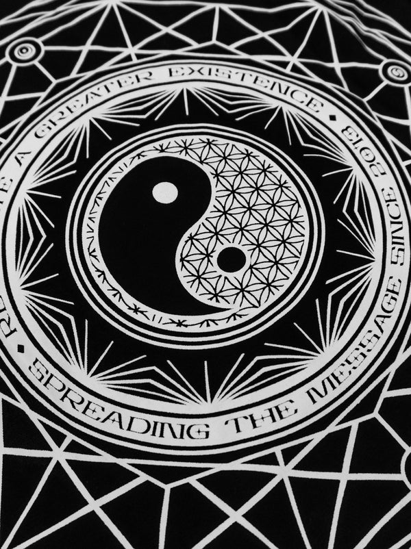 SEEK TRUTH YIN ✦ ANNIVERSARY DROP ✦ Premium Long Sleeve Long Sleeve