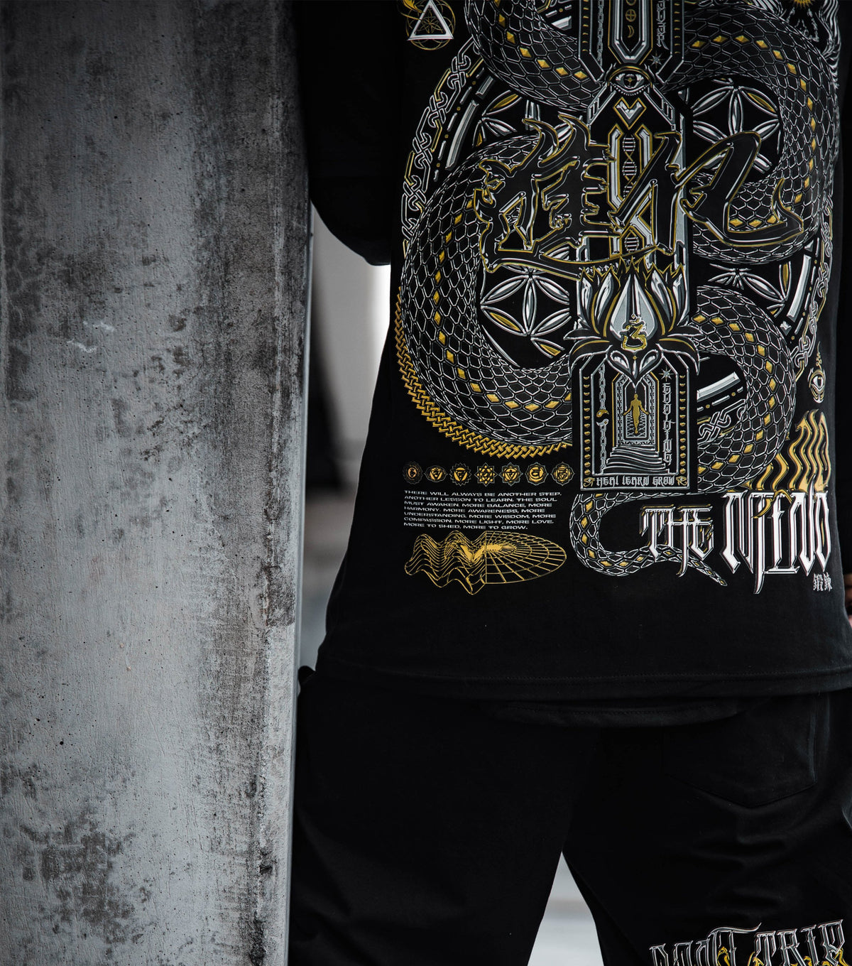 COMING SOON • DON'T TRIP V1 • Premium Lightweight T-Shirt T-Shirt