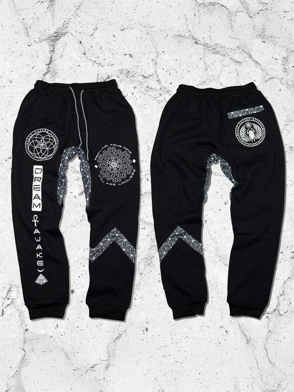 DREAM AWAKE V1 ✦ Hidden Pocket Unisex Joggers Joggers 