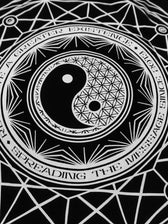 SEEK TRUTH YIN ✦ ANNIVERSARY DROP ✦ Premium Long Sleeve Long Sleeve 