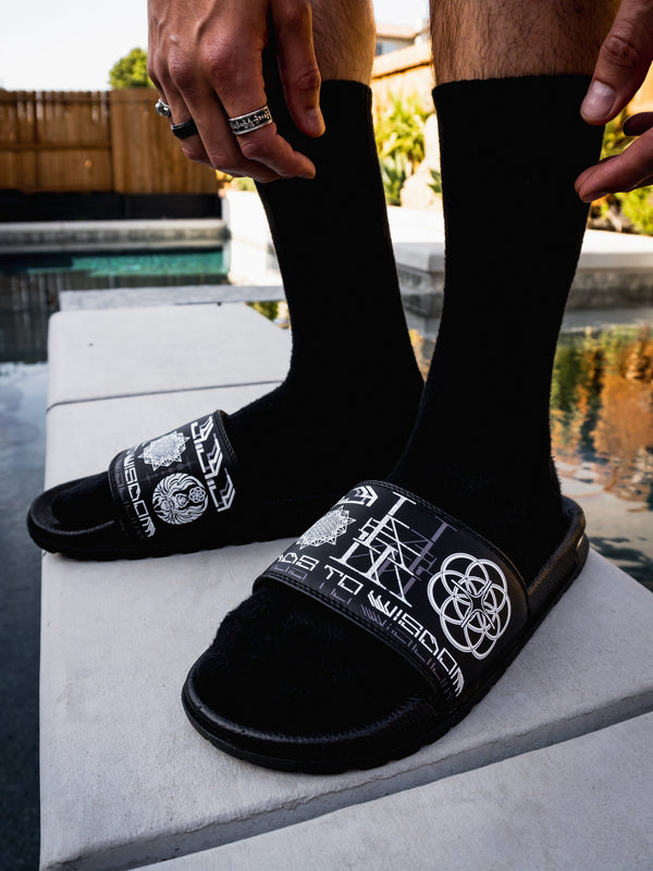 WOUNDS to WISDOM • SLIDES w/ Air Bubble Slides 